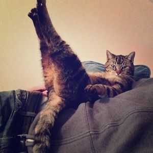 Meet your Posher, Erin